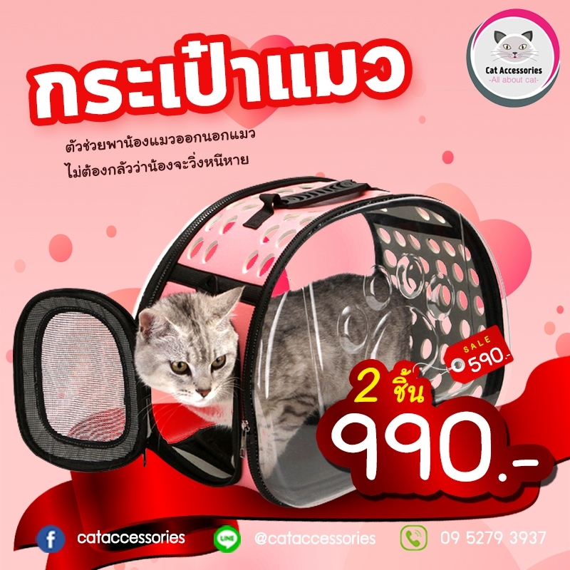 กระเป๋าใส่แมวสะพายข้าง